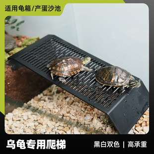 乌龟进出专用爬梯板周转箱产蛋池超长挂式爬坡架龟缸高水位斜坡