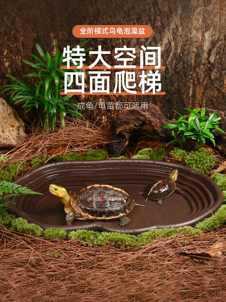 黄缘龟专用水盆乌龟泡澡盆安缘洗澡盆半水龟喝水盘爬宠饲养箱造景