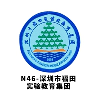 Шэньчжэнь -футуанская экспериментальная образовательная группа