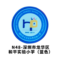 Шэньчжэнь Лонгюа районная экспериментальная начальная школа (синий))