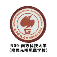 Южный университет науки и техники (аффилирован в школу Гуанминг Феникс)