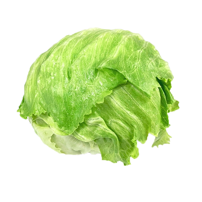 新鲜球生菜500g汉堡沙拉用生菜