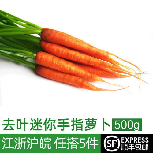 新鲜去叶手指胡萝卜生吃沙拉食材