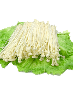 新鲜250g烧烤火锅素菜金针菇