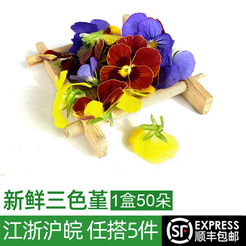 新鲜三色堇50朵西餐摆盘装饰用