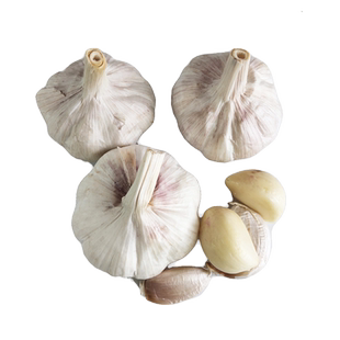 生蒜500g 大蒜头农家蒜 家常炒菜配料香蔬菜调味料