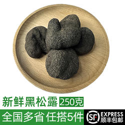 新鲜黑松露500g 松茸松露菌白松露菌猪拱菌菌菇块菌
