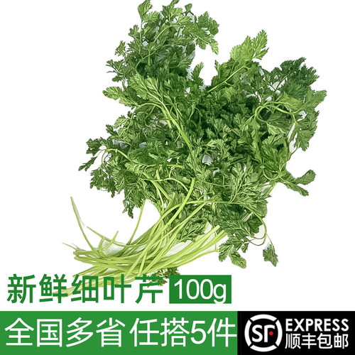 细叶芹绿食者摆盘装饰