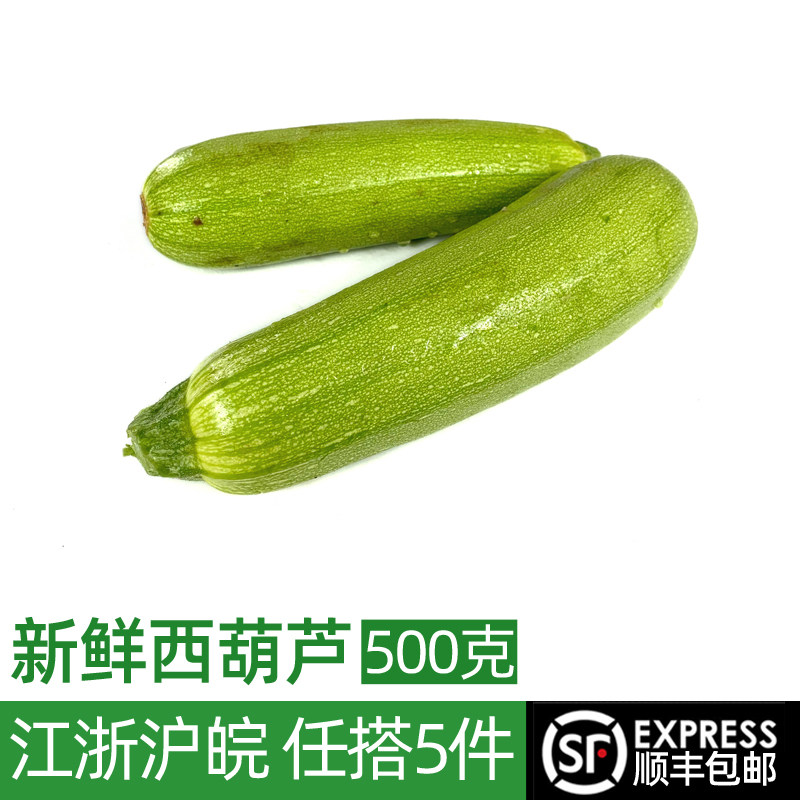 新鲜西葫芦约400g 番瓜当季蔬菜脆嫩小茭瓜倭瓜 全国多省5件包邮