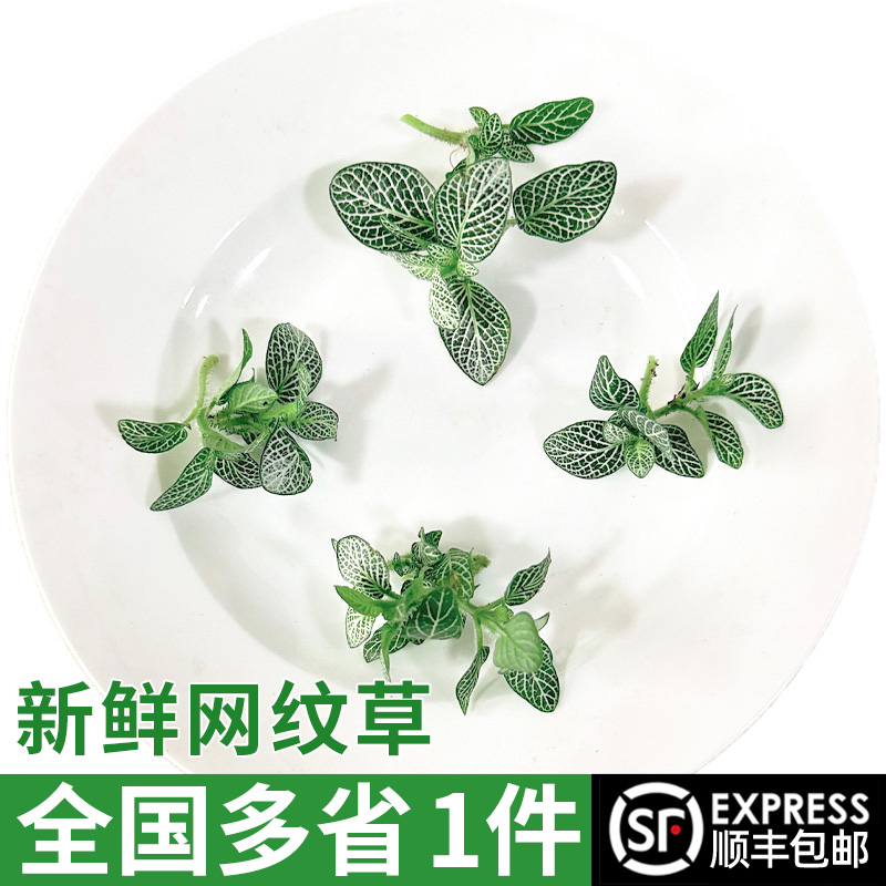 潮流精品,品质保证