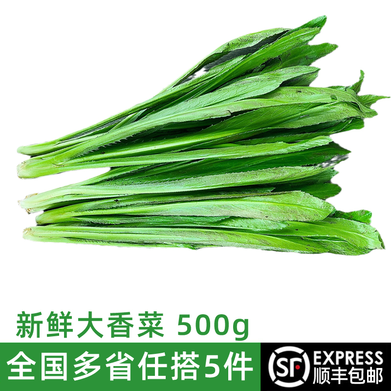 新鲜大香菜泰国香菜冬阴功材料