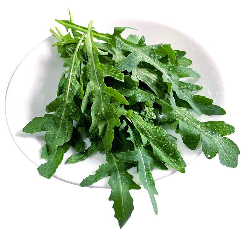 新鲜芝麻菜500g 德国芥菜火箭菜  西餐生吃沙拉蔬菜轻食食材