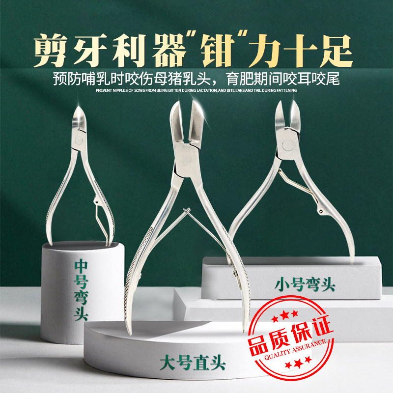 牧多多猪用剪牙钳仔猪不锈钢剪牙齿钳兽用剪牙器小猪兔仔断齿钳