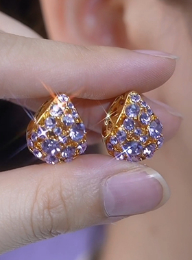 满钻紫色耳环轻奢高级感水晶耳扣2024年新款爆款潮气质百搭耳饰女