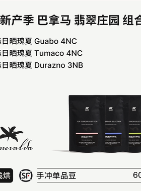 BIG SUR 26新产季 巴拿马翡翠庄园 红标日晒瑰夏