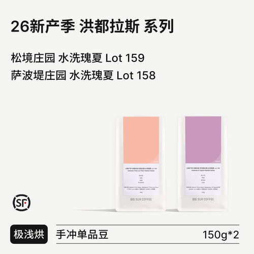BIGSUR26产季洪都拉斯水洗瑰夏