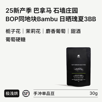 石墙庄园BOP同地块Bambu日晒瑰夏