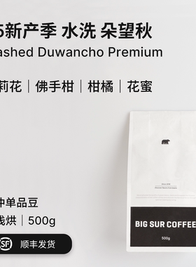 BIG SUR 茉莉花  佛手柑 埃塞水洗手冲单品豆系列 500g装 朵望秋