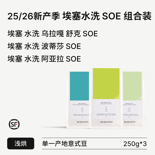 BIGSUR新产季埃塞水洗浅烘SOE