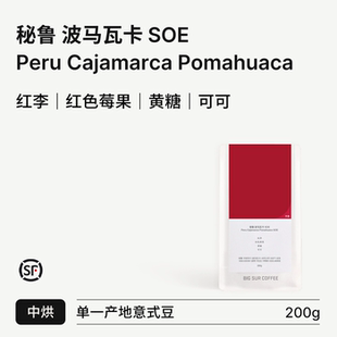 SUR 秘鲁波马瓦卡SOE中度烘焙意式 红李 黄油芝士 豆 红色莓果 BIG
