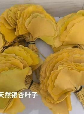 银杏叶装饰标本新鲜树叶抖音手工花束书签真银杏叶书签秋天的叶子