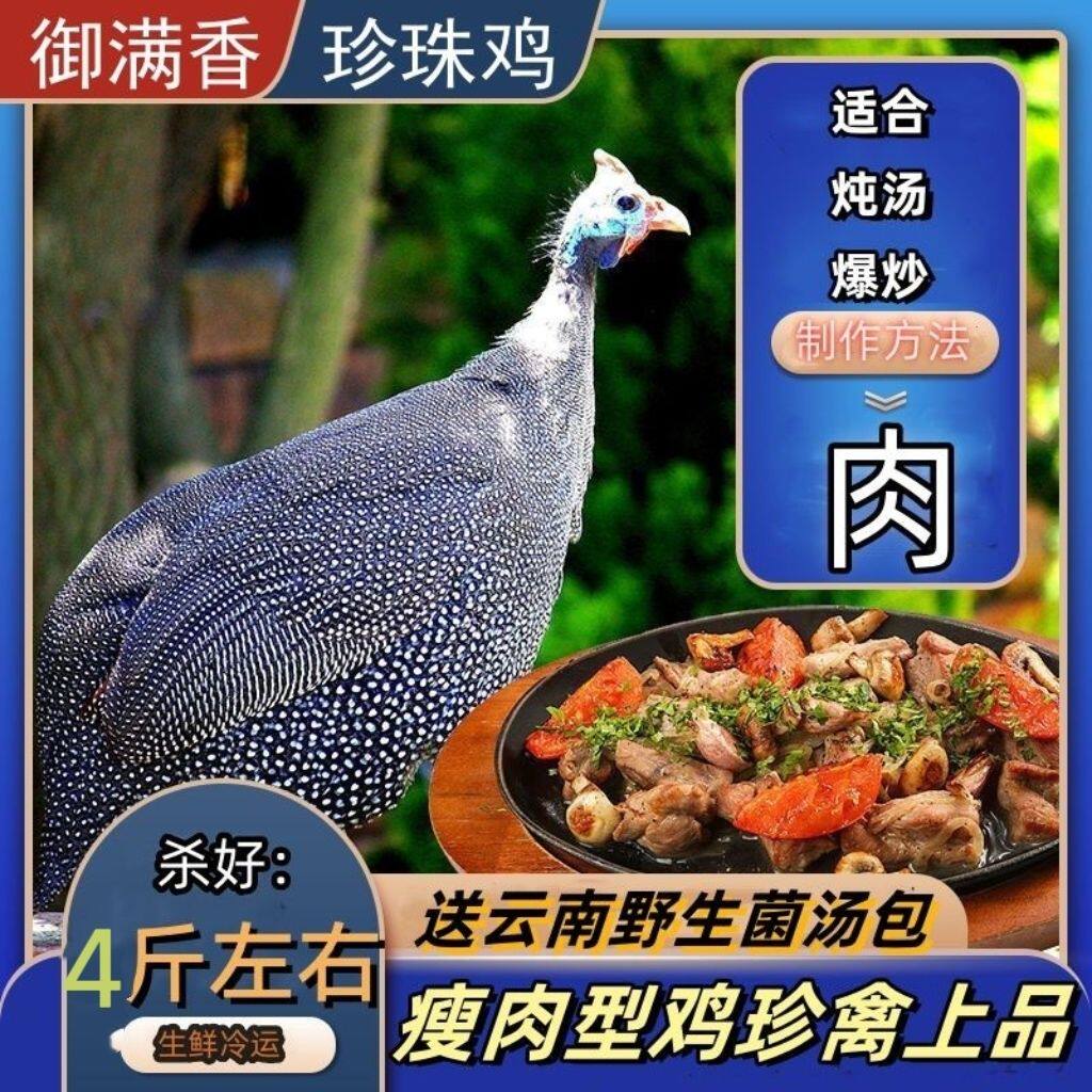 新鲜现杀珍珠鸡肉喂养老顺丰发货