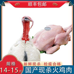 散养火鸡活体现杀火鸡肉20-22斤新鲜整只感恩火鸡圣诞烤火鸡顺丰
