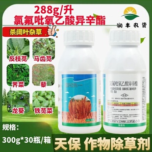 天保 288g/L氯氟吡氧乙酸异辛酯乳油反马齿苋杀阔叶杂草除草剂