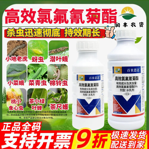 高效5%正品氯氟氰菊酯农药杀虫剂