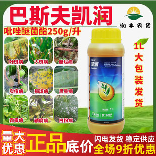 德国进口巴斯夫凯润25%吡唑醚菌酯黄瓜香蕉等叶斑病褐斑病杀菌剂