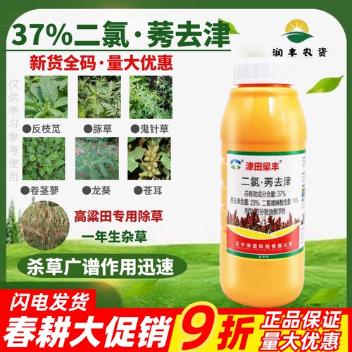 津田梁丰 37%二氯喹啉酸+莠去津高粱除草剂苗后专用高粱地除草剂