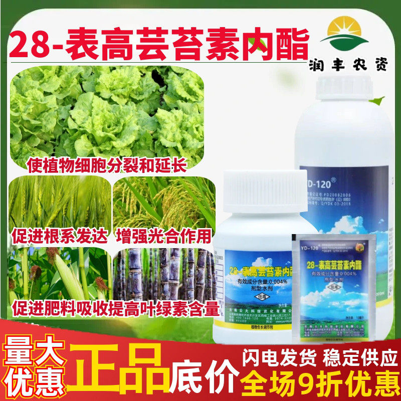 云大12028表高芸苔素万保