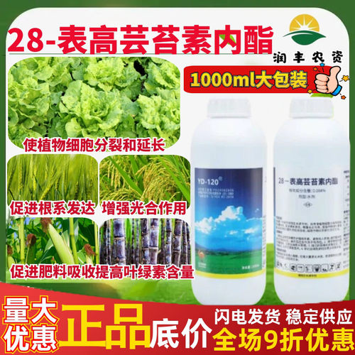 云大120万保28表高芸苔素