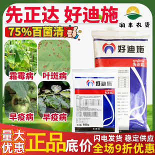 先正达 好迪施75%百菌清 番茄花生早疫病叶斑病霜霉病农药杀菌剂