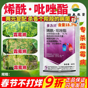 真格 多力润18.7%烯酰吗啉吡唑醚菌酯 黄瓜霜霉病作物农药杀菌剂