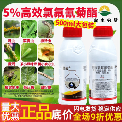 中化墨菊高效氯氟氰菊酯菜青虫