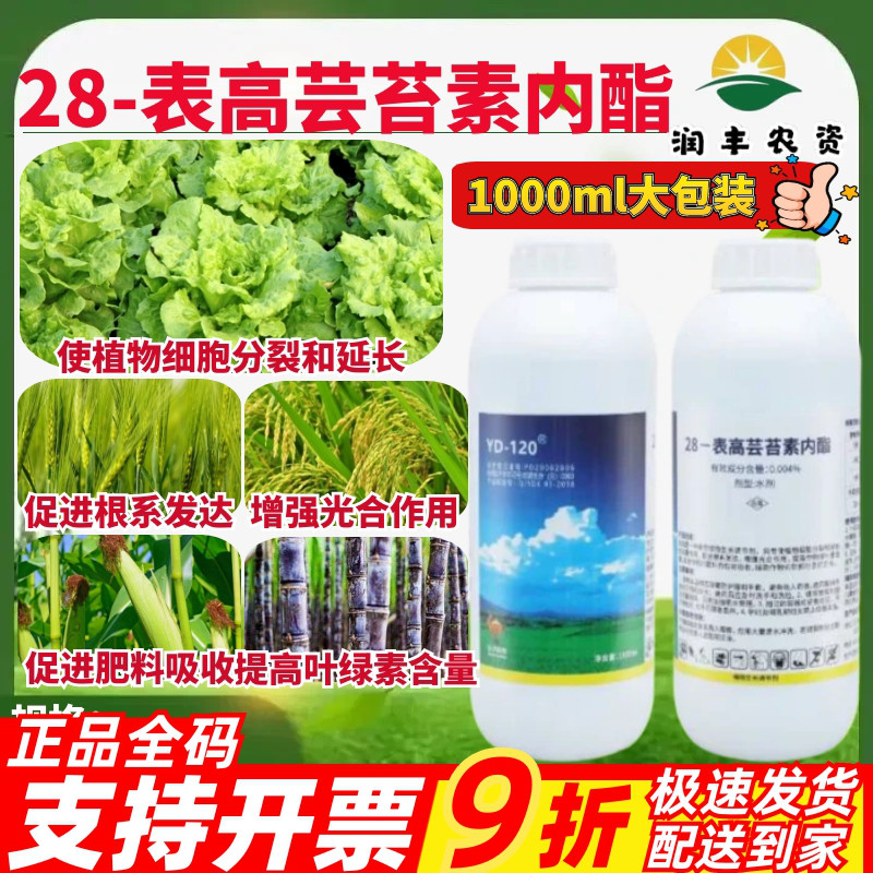 云大120万保28表高芸苔素