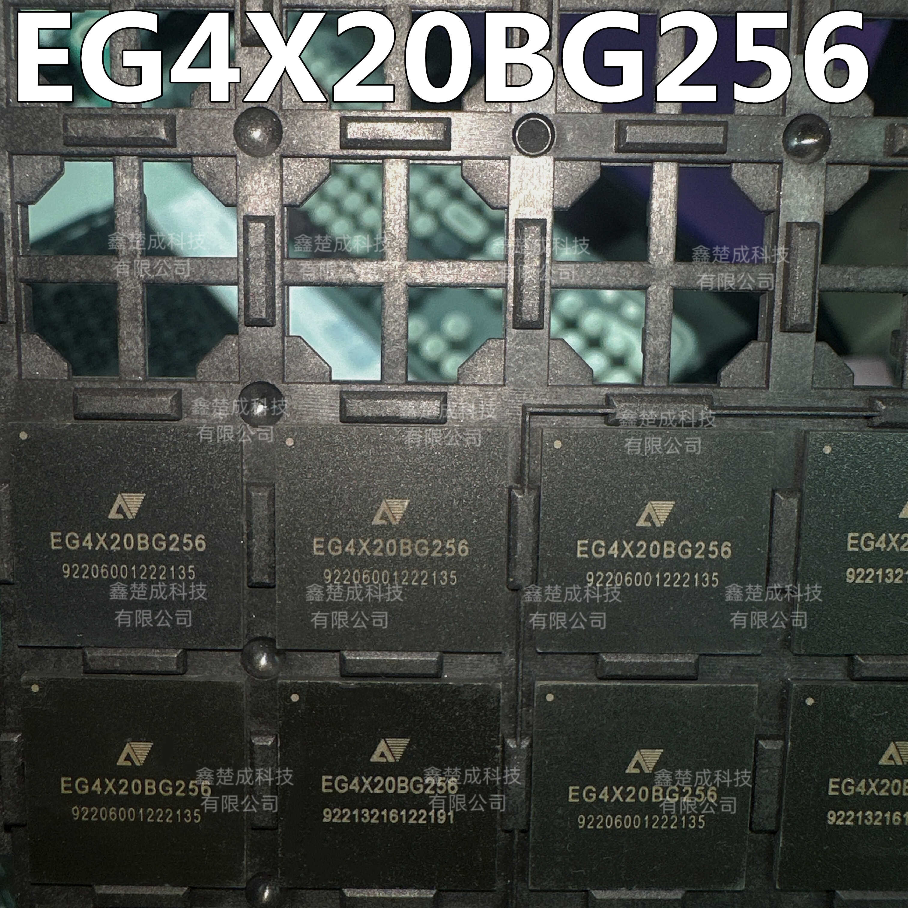 EG4X20BG256通信接入微控制芯片
