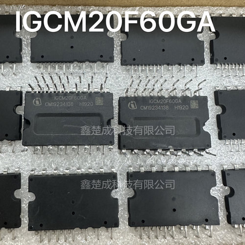 IGCM20F60GAIGCM15F060GA