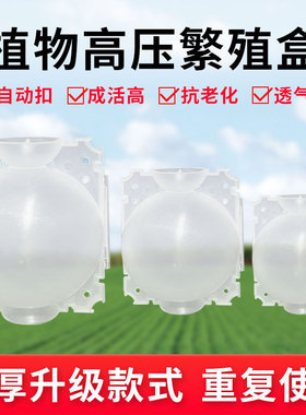 跨境植物生根器繁殖盒Plant Root Device植物扦插嫁接繁殖球厂