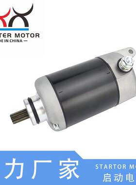 21163-1100, 21163-1136起动电机启动马达适用于川崎EX250F Ninja