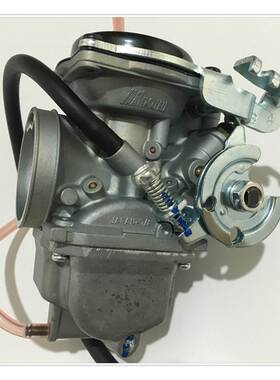 摩托车轻骑藏獒200CC轻骑马龙200新大洲175草上飞GN200化油器