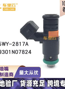 适用于东风标致405 锐达起亚 喷油嘴 9301N07824 5WY-2817A