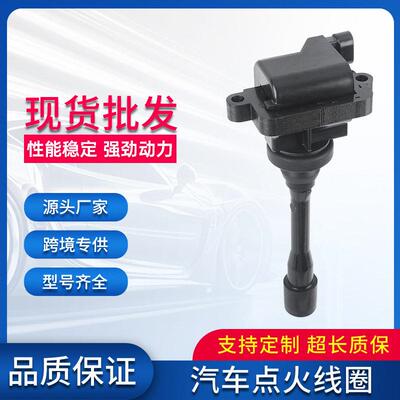 汽车点火线圈压包SWM251371适用江铃驭胜S350北汽绅D80猎豹Q6