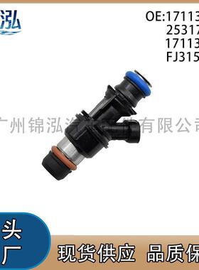 17113553 25317628 FJ315 17113698适用于雪佛兰凯迪拉克喷油嘴
