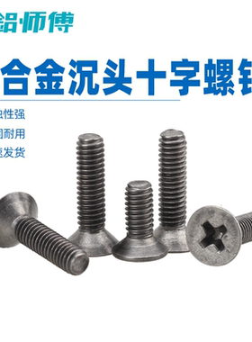 钛合金螺丝十字沉头机丝纯钛TA1钛螺钉防腐蚀防酸M1.6M2M2.5M3M4