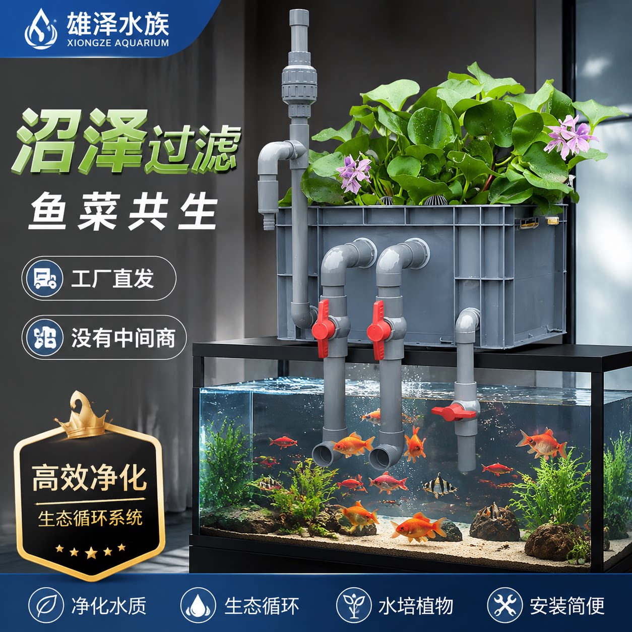 diy沼泽鱼池生态周转箱过滤系统图片