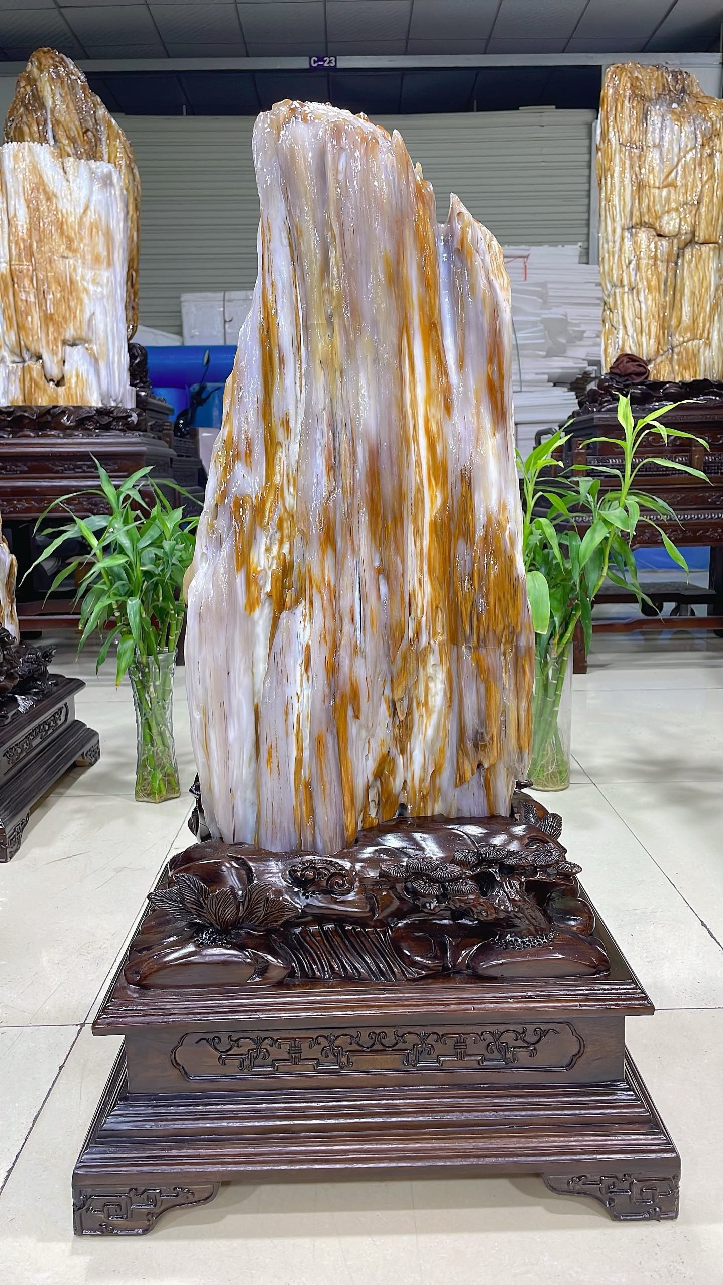 缅甸树化玉原石镇宅招财70710号木化石树化石天然硅化木奇石摆件