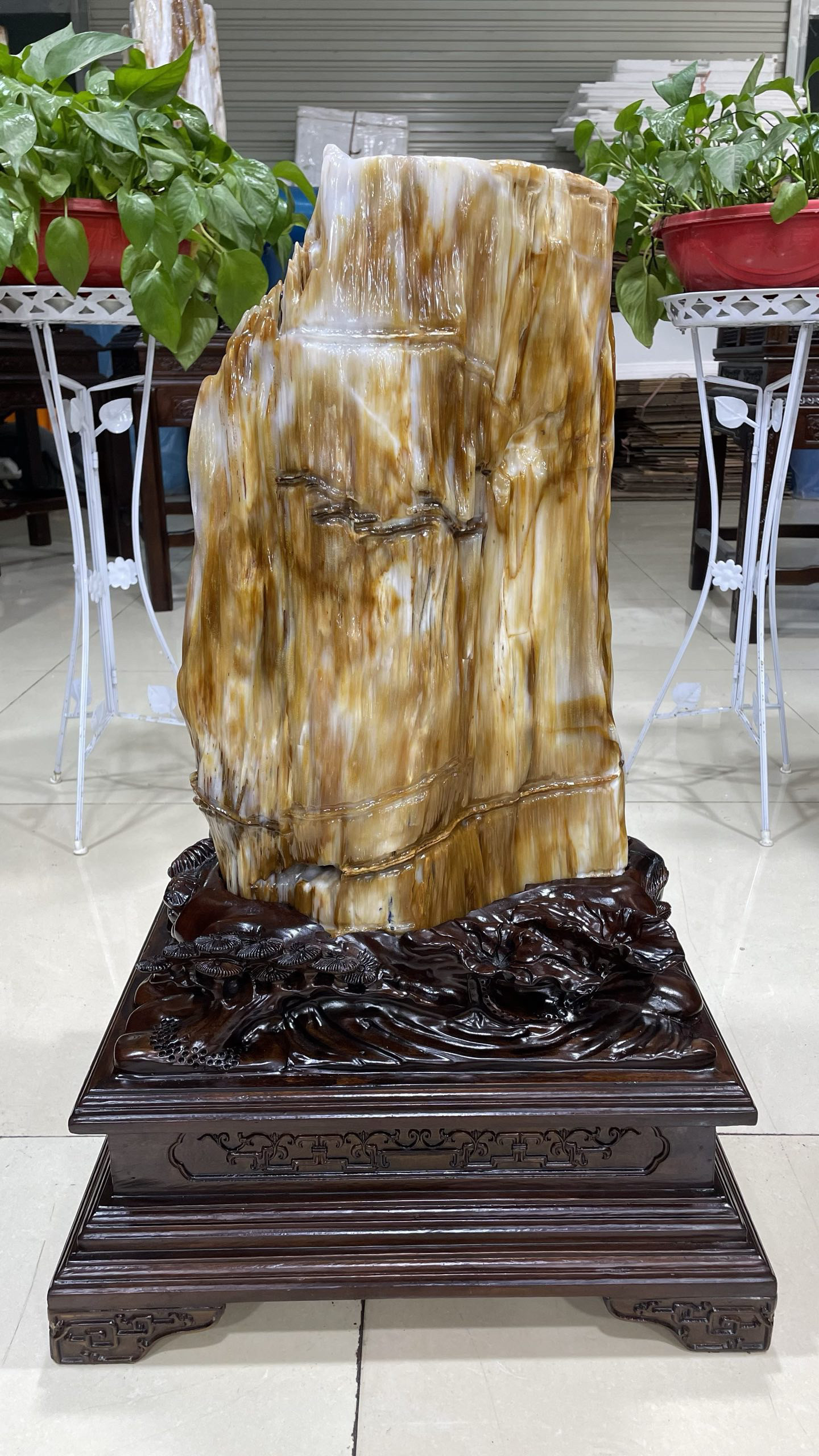 缅甸树化玉原石镇宅招财2590号木化石树化石天然硅化木奇石摆件