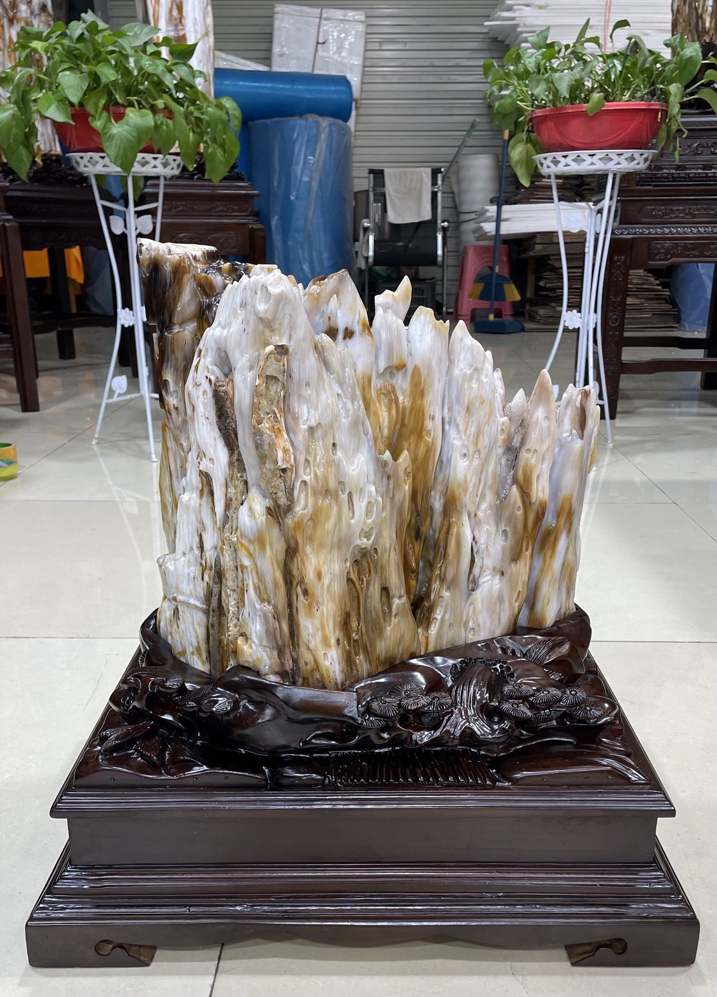 缅甸树化玉原石镇宅招财X4470号木化石树化石天然硅化木奇石摆件